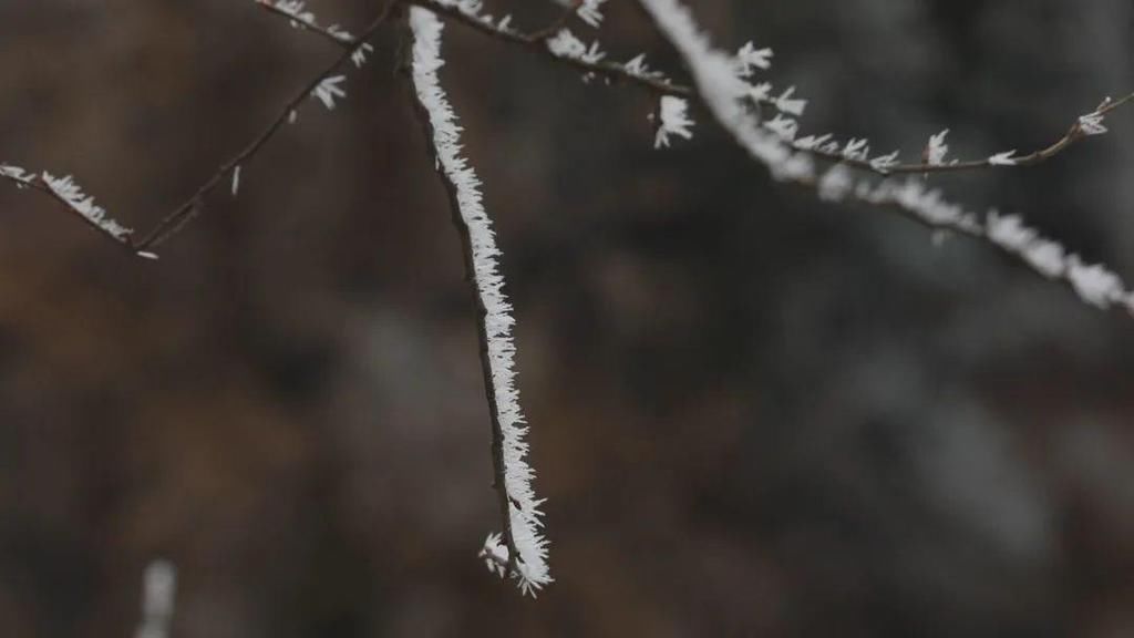 地方|汶川下雪了！这些地方，你最想去哪个？