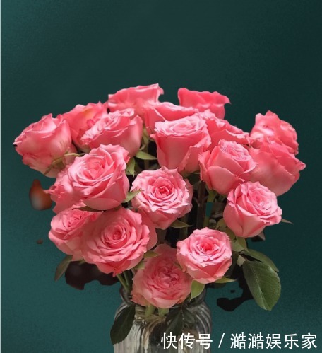 粉玫瑰戴安娜,梦幻感十足,让人无法抗拒的颜色