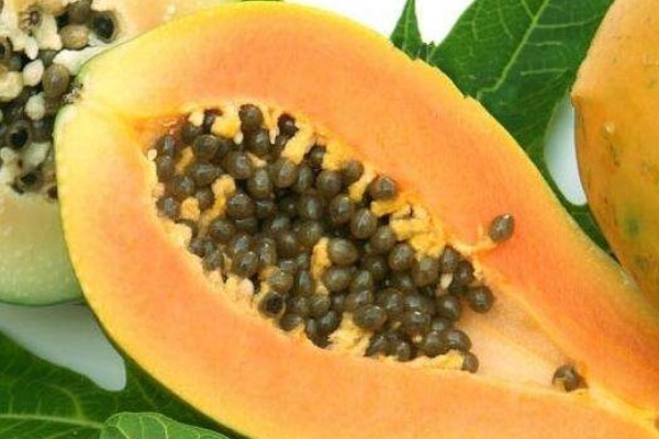 木瓜|晚上常吃4种祛湿的水果，不仅排出体内湿气，还有许多的好处