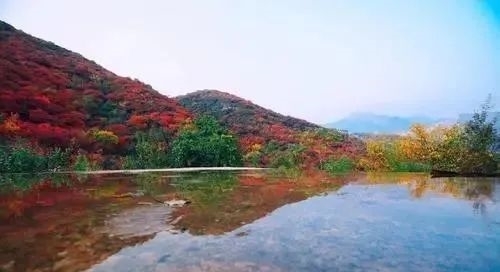 香山|最美北京秋景之：坡峰岭红叶