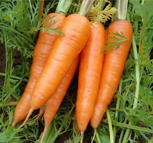 美白肌肤|女性养生,离不开的好食物,美白肌肤,滋补身体,增强免疫力