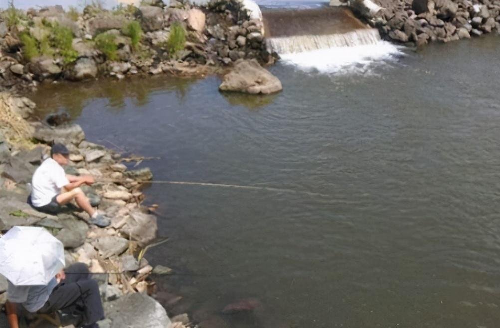 野河|在野河里作钓,怎么才能钓大鱼呢?快来看看让你连杆上鱼