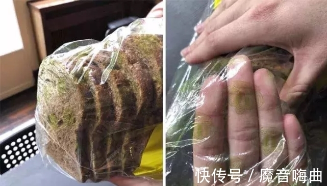 短裤|31个搞怪的奇葩设计,看到第一张图就想报警