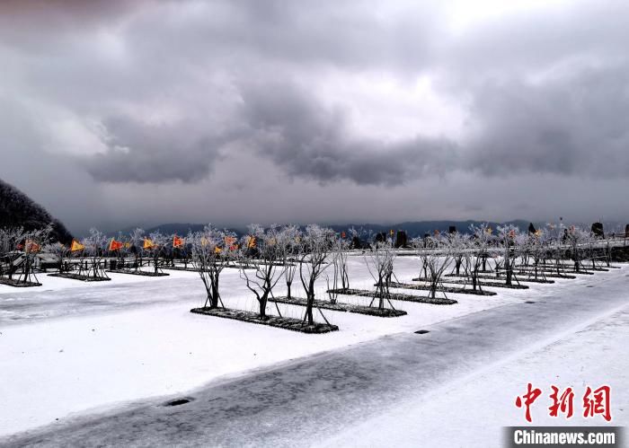 保康县|湖北保康迎今秋首场降雪