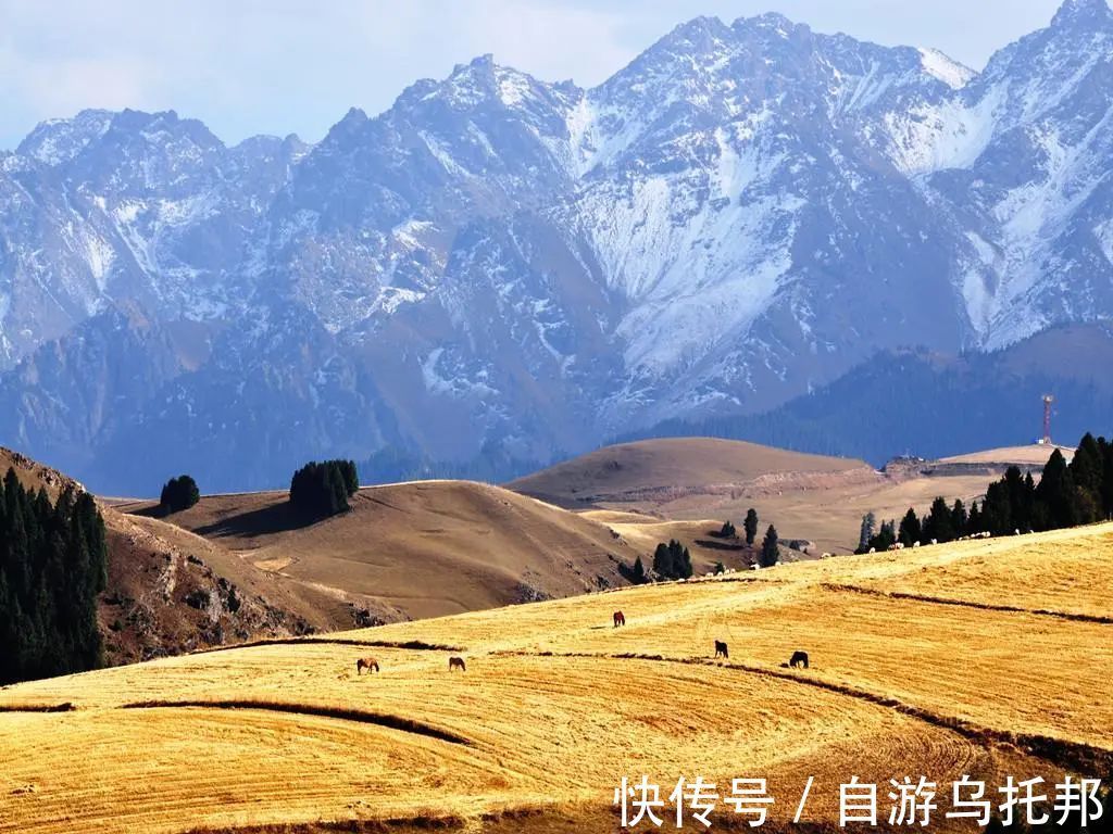 大九湖|国内美到窒息的旅行地，很多人都没去过!