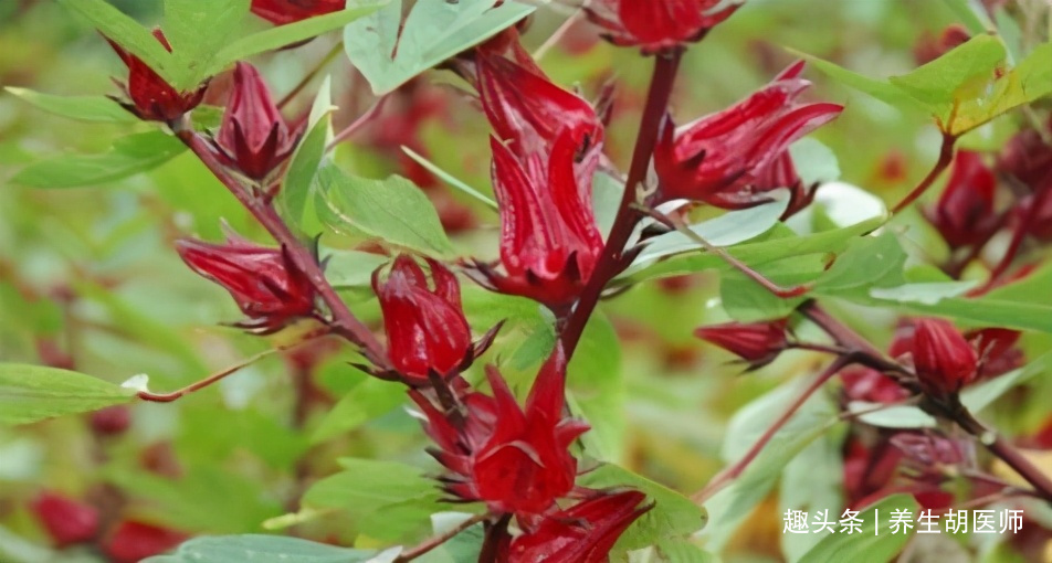 维生素女性不想老太快，推荐常吃3种食物，排毒养颜，美容护肤