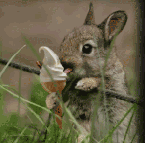 |搞笑动图:这狗牵出去一定霸气!