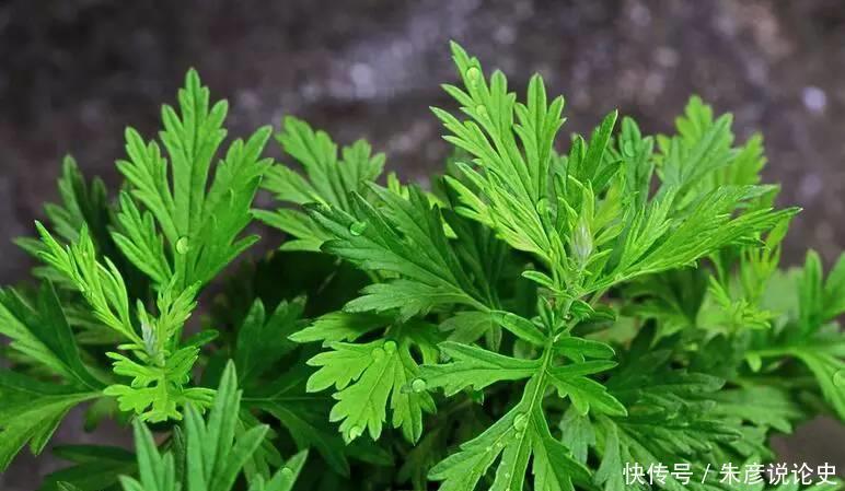 床垫用久了成螨虫窝，用这个土方法立马把螨虫清干净，太聪明了