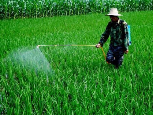 白血病|医生为了让孩子远离白血病,这3种水果不能买,别害了孩子