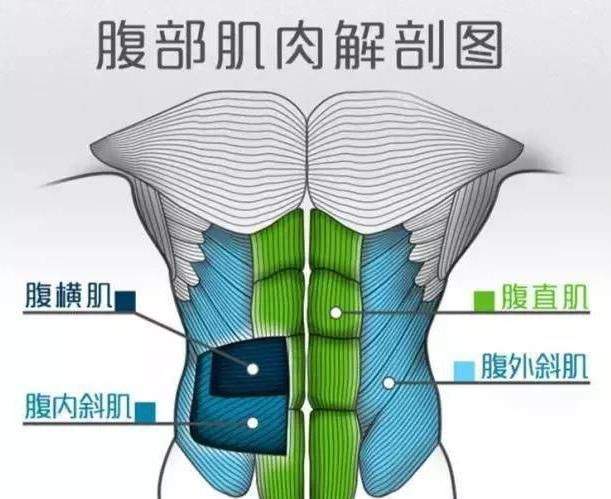 背部|自查错误,来看看为什么坚持腹部训练,效果却不怎么样?