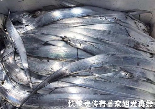 买带鱼也有技巧,教你3招选带鱼,保证买到新鲜的带鱼