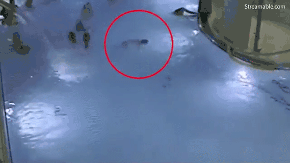 女童|四岁女童溺亡，妈妈就在一旁吃盒饭，其实，孩子的溺水往往很安静