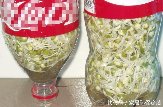 养花人的奋斗目标：该怎么实现养花省钱环保？从巧用它们开始