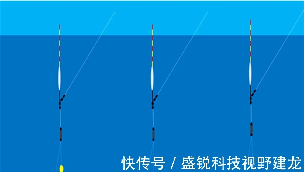 子线|钩、饵重量与调、钓目的关系,不了解这些,是知其然不知其所以然