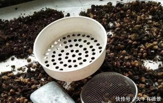 比买的还管用的有机肥，柳树皮，知道有什么好处，该怎么用吗？