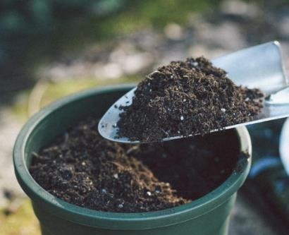 给花配土换盆的时候，4种东西别乱加，不然花卉难养好