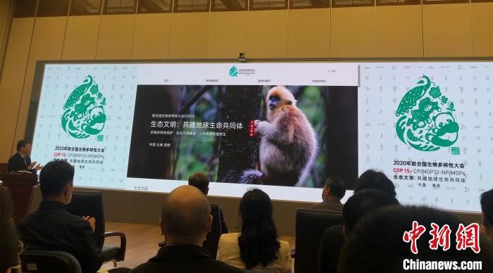 《生物多样性公约》缔约方大会第十五次会议东道国网站正式上线