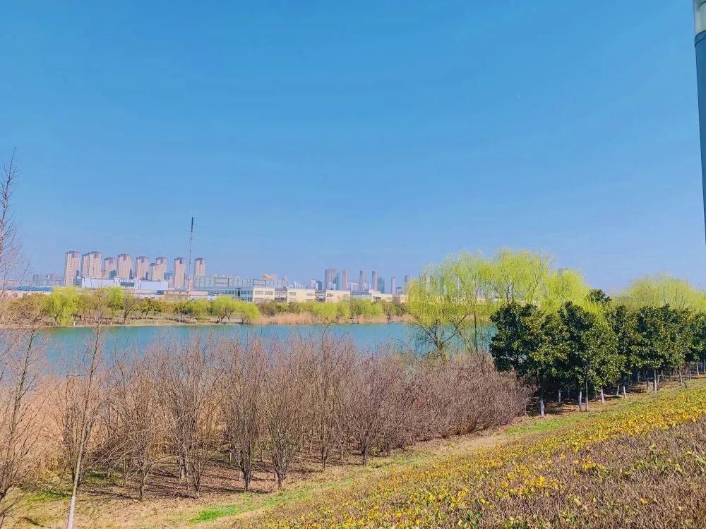 老年|春暖花开!阜城第一波春色来啦~