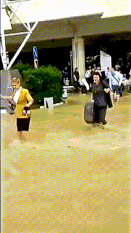 |搞笑GIF:后座拉的妹子,老铁们我该怎么搭讪。