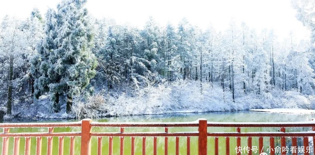 雪景|遂昌大美雪景图！让你一次看个够