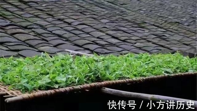 清热解毒|农村有种野菜,闻着臭吃着香,清热解毒还降火