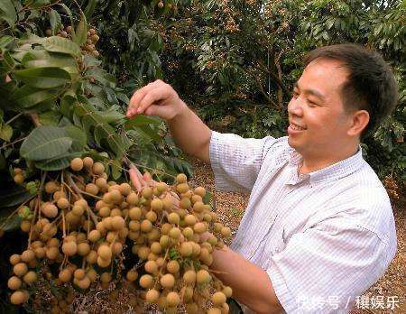 产自国外,补血的一大法宝,一斤10-20元,国内农民:各有所用!