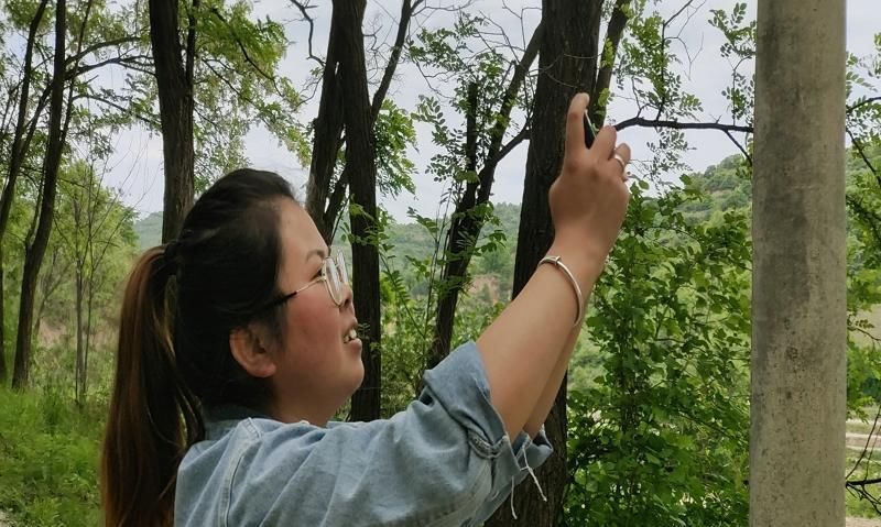 小脚掌|又到初夏日，山村槐花香