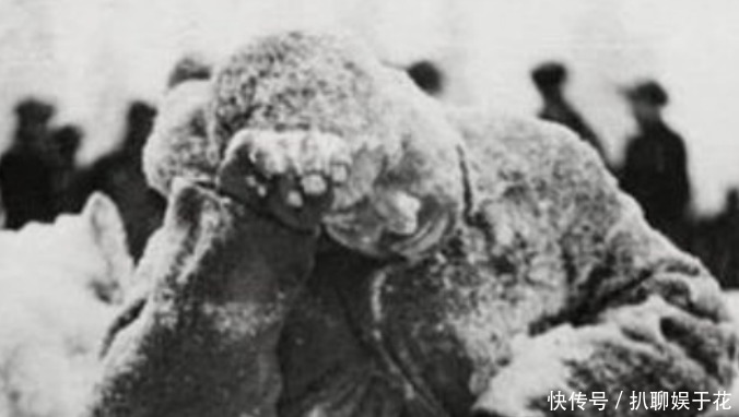 老照片|二战老照片:苏军奋起反抗,德军几十万士兵被活活冻死!