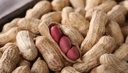  好处|这个时间段空腹吃几颗花生，半个月3个好处可能“悄悄降临”