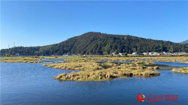 边城腾冲:极地灯塔 生态宝地