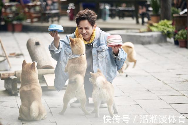 《向往》中情商最低的嘉宾?何炅和黄磊都带不动,大写的尴尬