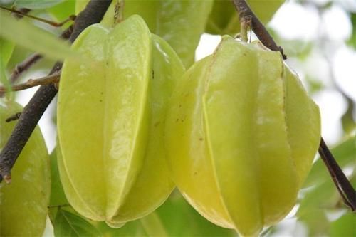 食物|人到中年想长寿，不妨多吃三种食物，排毒养颜，有益健康！