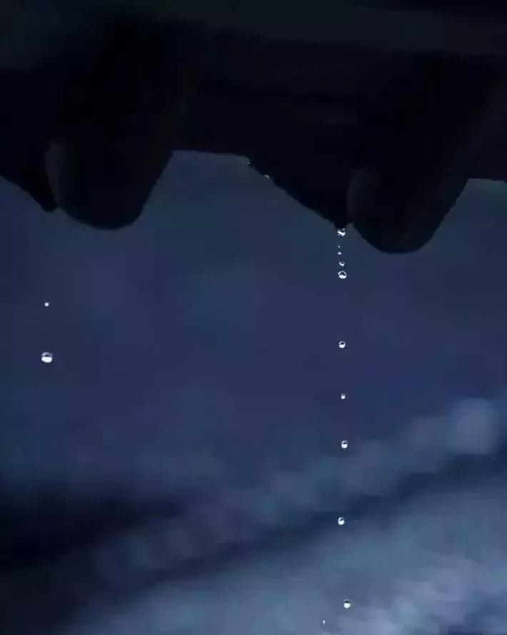 雨滴|一场春雨一场暖,春雨怎么拍才有味这些作品给你灵感