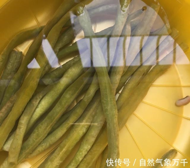 酸豆角烧排骨,香气扑鼻,一点都不油腻!