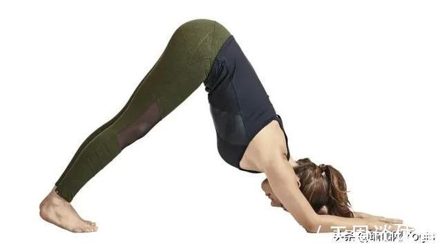 下犬式|打开胸腔好处多！这组瑜伽体式有效打开胸腔，身姿更加挺拔