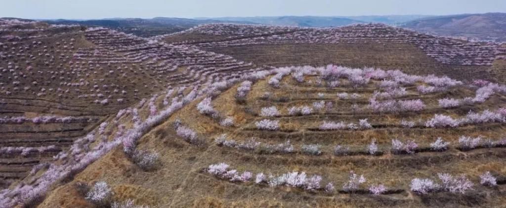 文旅荟|以万千风韵,引万客来游,《宁夏文旅荟》今晚走进西吉