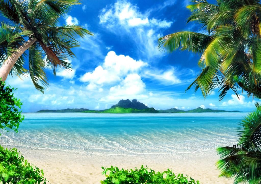 荧光海滩|世界上最奇特的十大海滩