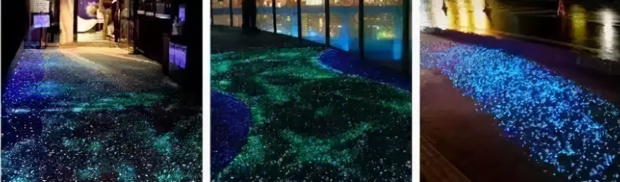 开园|今日开园!占地超60万平米!惠及20万居民!朝阳又添一座巨型生态公园!