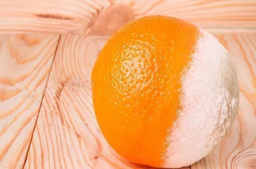 养肝|早晨是养肝黄金时间，营养师提醒：3种早点被称为“烂肝王”