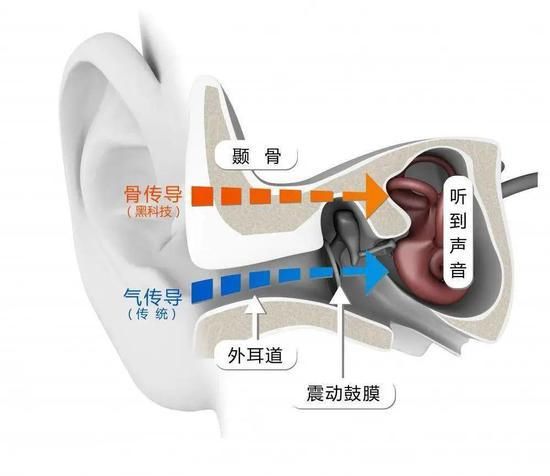 听到自己|微信语音里自己的声音为什么那么难听？