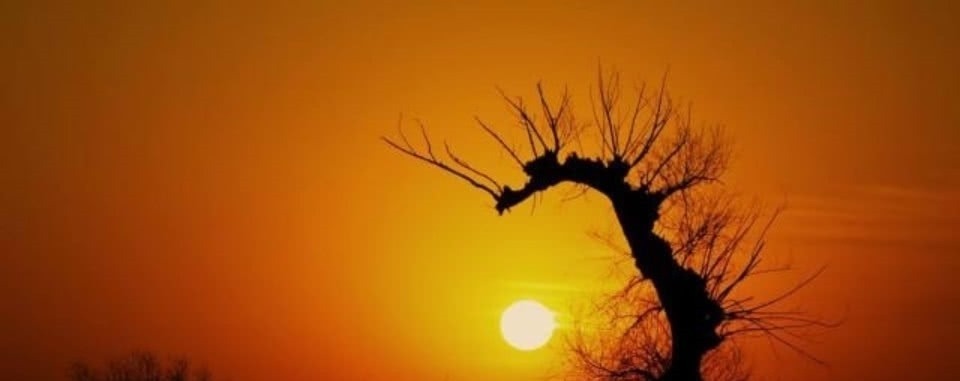 禅理&杨万里充满禅理的一首诗,给人一种大彻大悟之感,读懂了受益终生