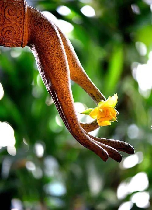 南怀瑾的点醒人的好运与歹运,皆是自己感召而来,错不了