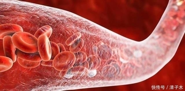 饭桌|常吃鱼肉好处多但这5种鱼,趁早撤离饭桌,免费送也别要