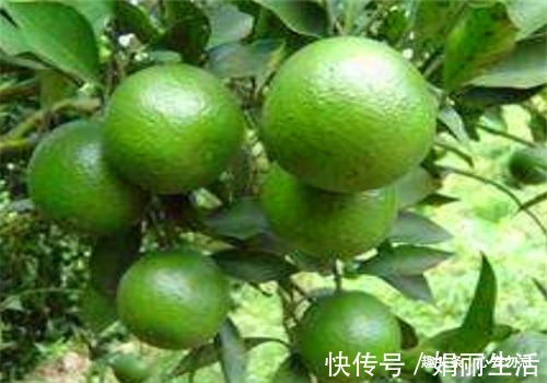 补水|会吃的女人皮肤好,推荐4种食物,清热排毒,补水润肤,美容养颜