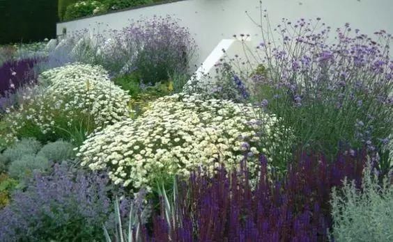  花境|花有“花境”，草有“草境”！