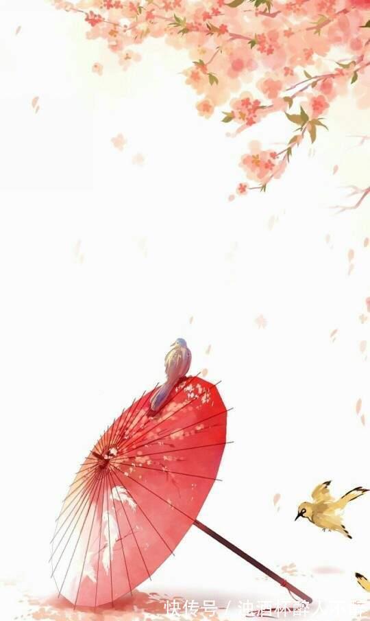 荷花#聊斋故事:荷花仙女