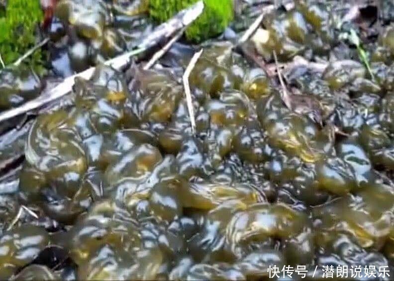 十个人|十个人九个腰疼,每天吃一物,腰不疼了,排毒滋阴,上8楼更轻松