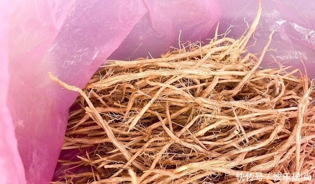 春天的农村里有这40种山珍野菜图片,让你轻松辨别山珍野菜