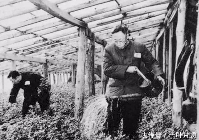 说出|溥仪想到故宫工作被总理驳回,说出溥仪不能“回家”原因!