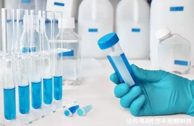 生成|研究发现,干细胞通过诱导生成胰岛β细胞来治疗1型糖尿病